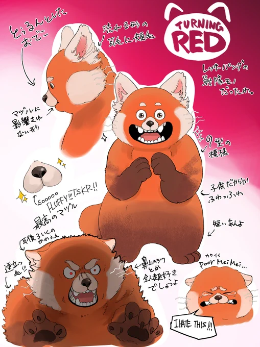 いろいろDisneyには問題あるんだけど、PIXERとしての作品としては本当に良かったので、やっぱりみんなに見て欲しい。母親の過干渉かなりしんどいんだけど、とにかくレッサーパンダの戦隊モノシーンだけでも見る価値あるんですよ・・・
TURNING RED 
