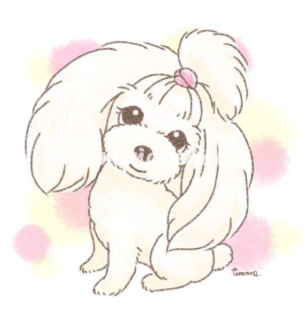 とらめ Kokuyoumarun Twitter