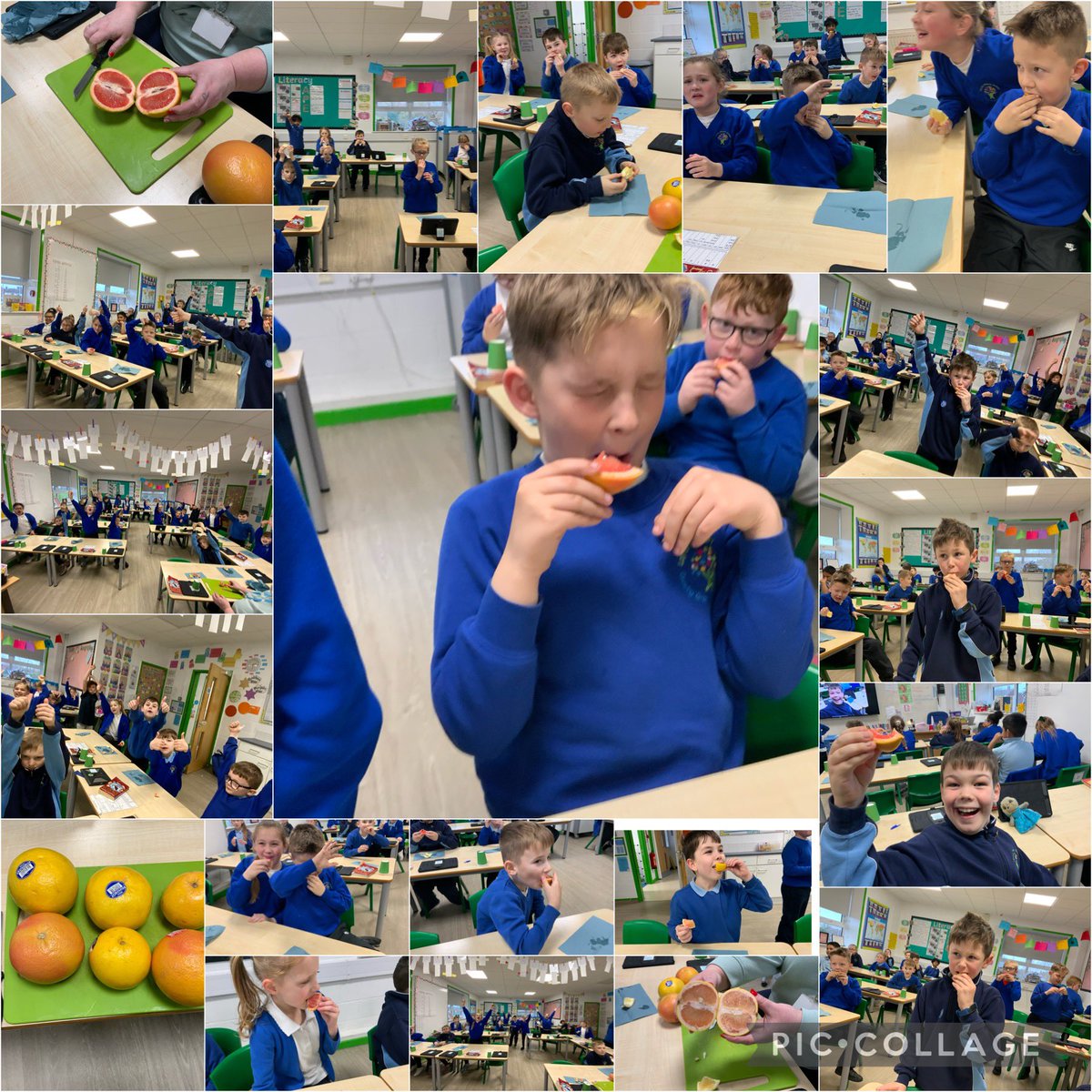 Year 4 Layton Primary School tweet media