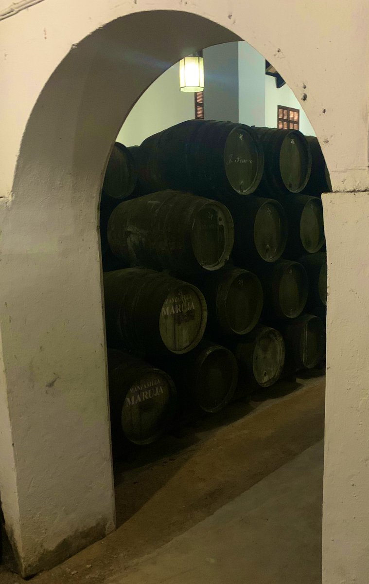 La conclusión de mi primera semana de trabajo en bodega:

Creo que me estoy enamorando…