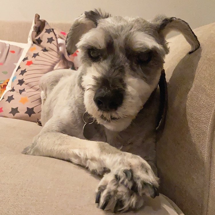 Fleur🤎 tweet media