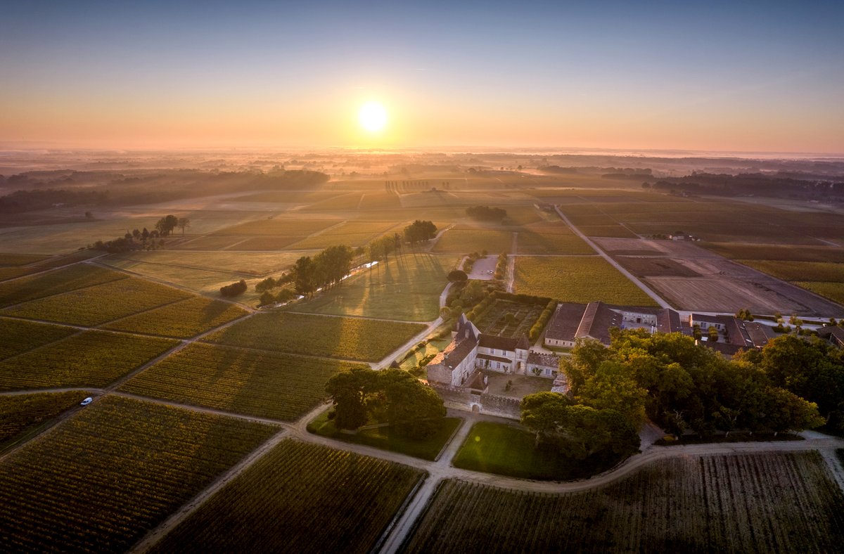 Yquem_Official's tweet photo. ILLUMINATION.
#yquem #chateaudyquem #chateauyquem #lightsofyquem #miracleofnature #myth #universal #unique #unforgettable #bucketlist #onceinalifetime #finewine #Yquem2019
Meet Yquem at least once in your life.
2019 Yquem vintage released on March 22, 2022.
Enjoy responsibly. https://t.co/F7tpWt5QGu