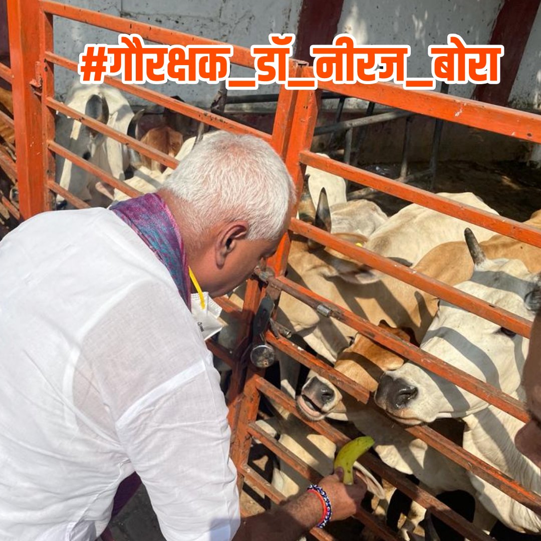 Msdhonifan007's tweet photo. #गौरक्षक_डाॅ_नीरज_बोरा
Some things are only happens with good people, just I love the works https://t.co/AGJve1ZNhH