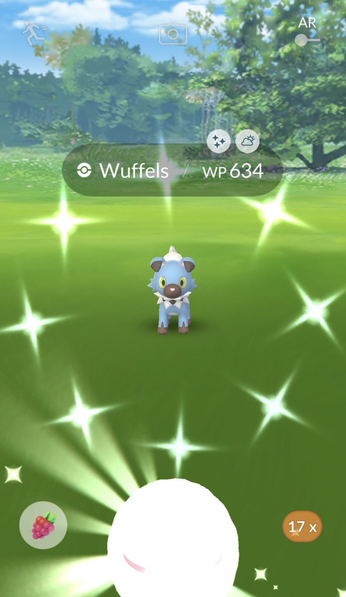 Miss_Jim's tweet photo. Number 2 after 106 Raids!!! Seriously, @PokemonGoApp ?! But I’m happy and certainly done with #Rockruff raids. #Wuffels 🐶✨💙@PokemonGOdeu #PokemonGoRaids https://t.co/4qzPf0axJ2