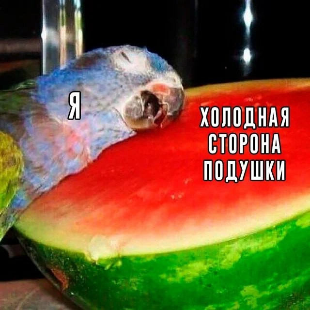 VolcanicMachine's tweet photo. @Satoshitwitt https://t.co/IPLJuIDlJm