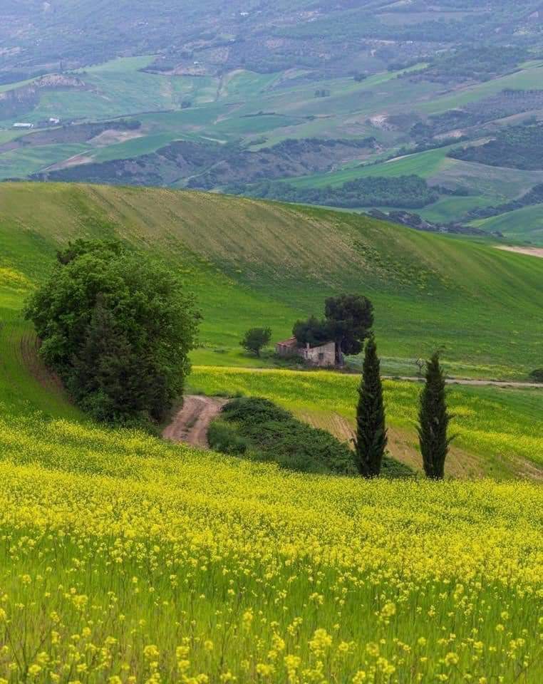 grilliserafino's tweet photo. Sembra un quadro di Van Gogh ma in realtà è lo spettacolo della campagna lucana vicino al mio paese #Grottole #Matera #Basilicata 💙 https://t.co/fCLukuVayY