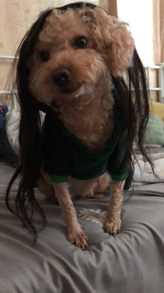 curtaintits's tweet photo. @recoverybigbro https://t.co/Tx6I1fzPRC