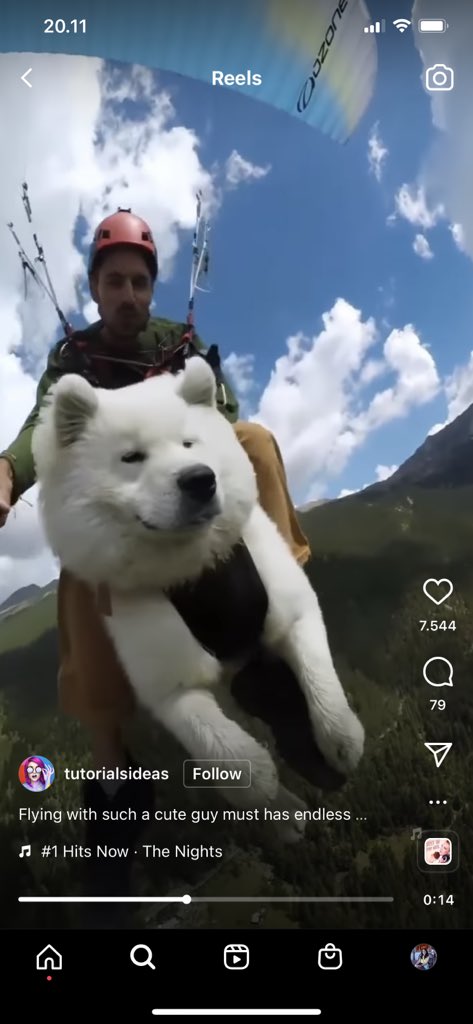 sapiepie's tweet photo. Found this guguk, pengen jadi guguk ini aja https://t.co/jTHS065hfI