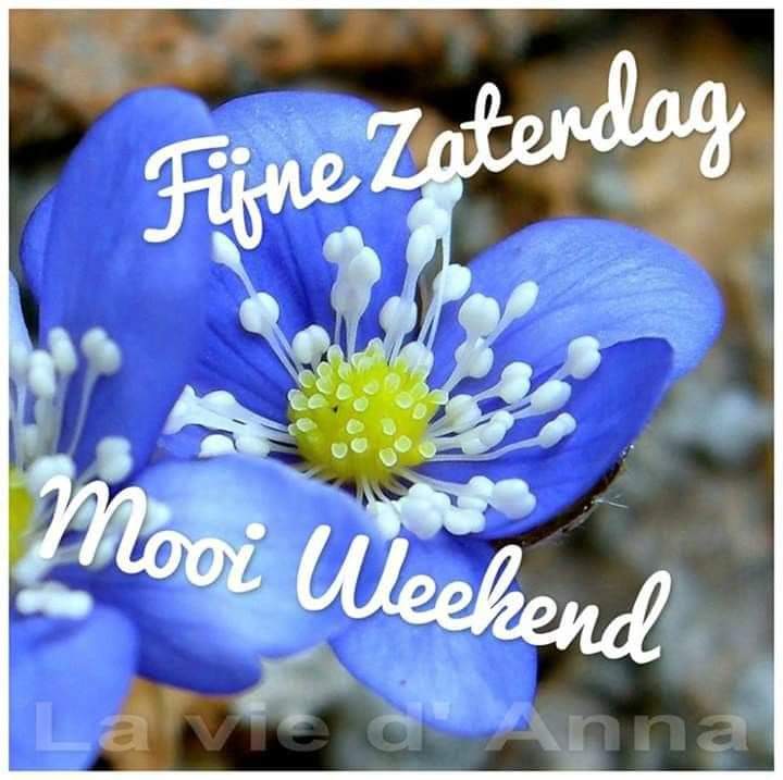 Ik wens iedereen een mooi weekend met veel zon aan de hemel en in je hart ☀️

#weekend #mooiweer #ontspannen #natuur #zonnig #vreugde #rust #vrede