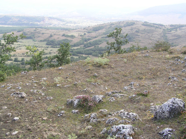 regcantabrorum's tweet photo. ¡Buenos días #Campoo #Cantabria 💢! Hoy desde el castro 🛖🏺 de #LaGuariza #Fontibre ⛲, un espectacular enclave de la #EdadDelHierro 🗡️ apenas conocido y mucho menos protegido 😑 ¿Escenario de las #GuerrasCantabras 🏹 junto con la estructura de #Salces? https://t.co/E0OXfVnumM https://t.co/gbqmtIBEBp
