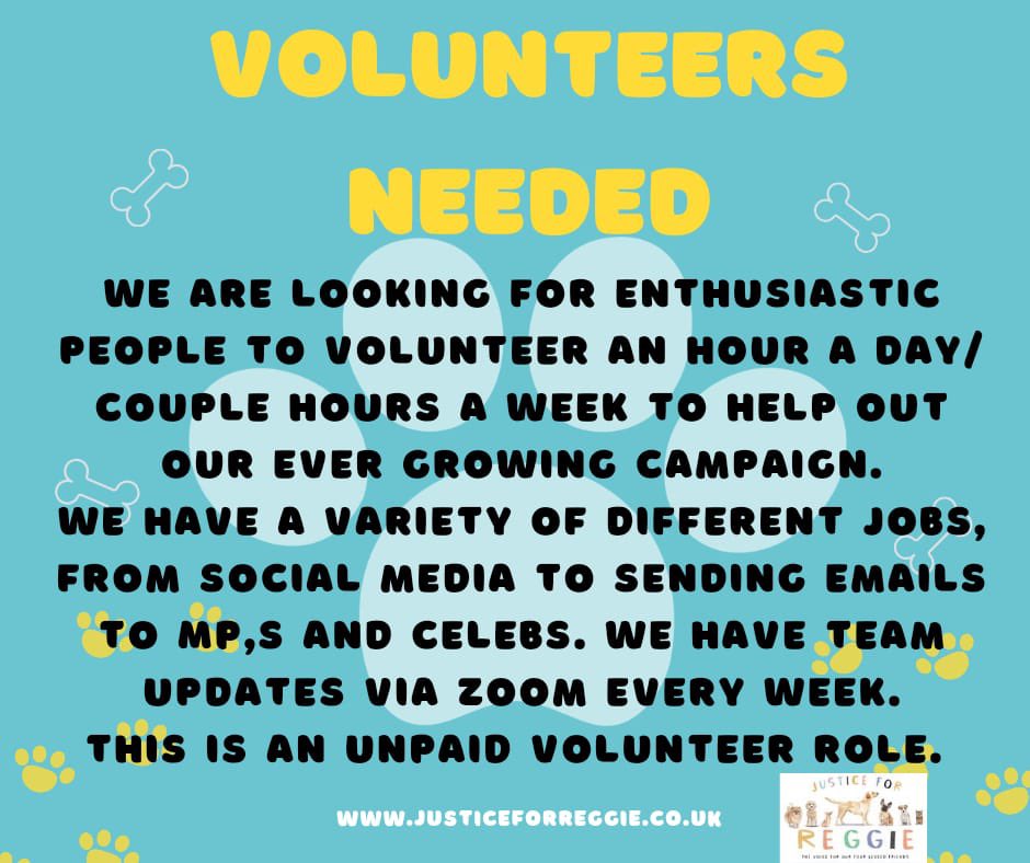 Do you have any spare time 

Justice for Reggie is currently looking for volunteers to expand relationships and build news ones with stakeholders in the animal world 

Can you #volunteer a few hours a week 
This is such a rewarding campaign 

Want to know more 

DM for more info.