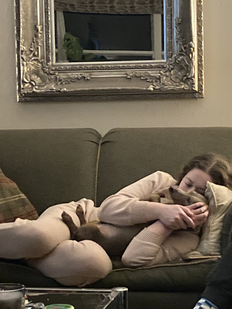 AlexMacras's tweet photo. Friday night love-in. #GeneralGuster #pupdate #loveliveson https://t.co/OOOvXW0zSb