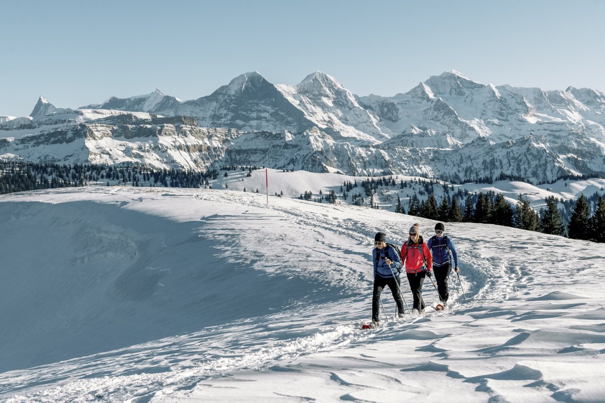MySwitzerland_i's tweet photo. #WinterBucketlist 🎿 Con le racchette da neve puoi partire alla scoperta di posti isolati e cime lontane e fare il pieno di natura. Scopri la nostra selezione di escursioni con le racchette da neve. ❄️
https://t.co/Oc2KI2LjFR https://t.co/MnAh358DaK