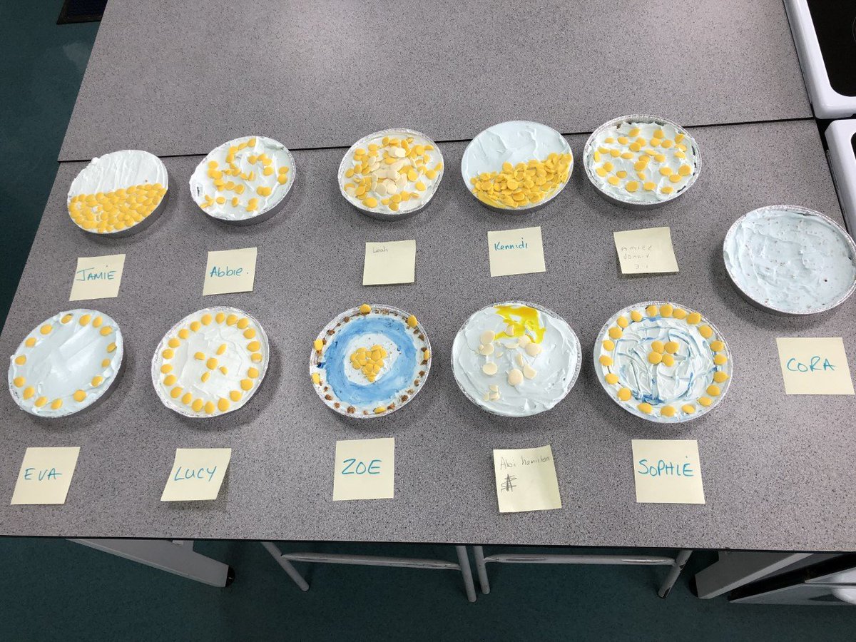 S3 Home Economics baked cheesecakes in Ukrainian colours for our fundraising day.