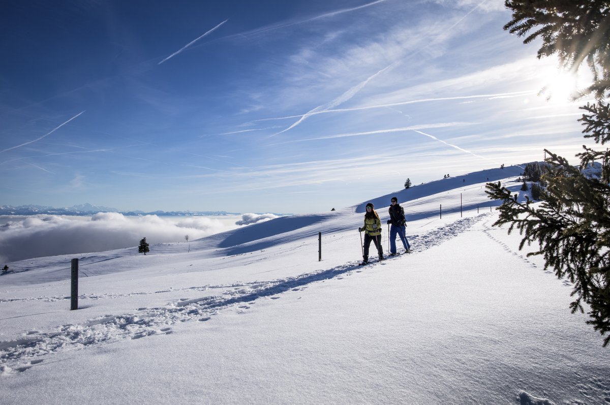 MySwitzerland_d's tweet photo. #WinterBucketlist 🎿 Entdeckt auf Schneeschuhen einsame Orte und Gipfel und werdet eins mit der Natur. Finde hier unsere ausgewählten Schneeschuhwanderungen bis auf die Gipfel. ❄️
https://t.co/gvc0aEfGk0 https://t.co/n6k4sn0Kz5