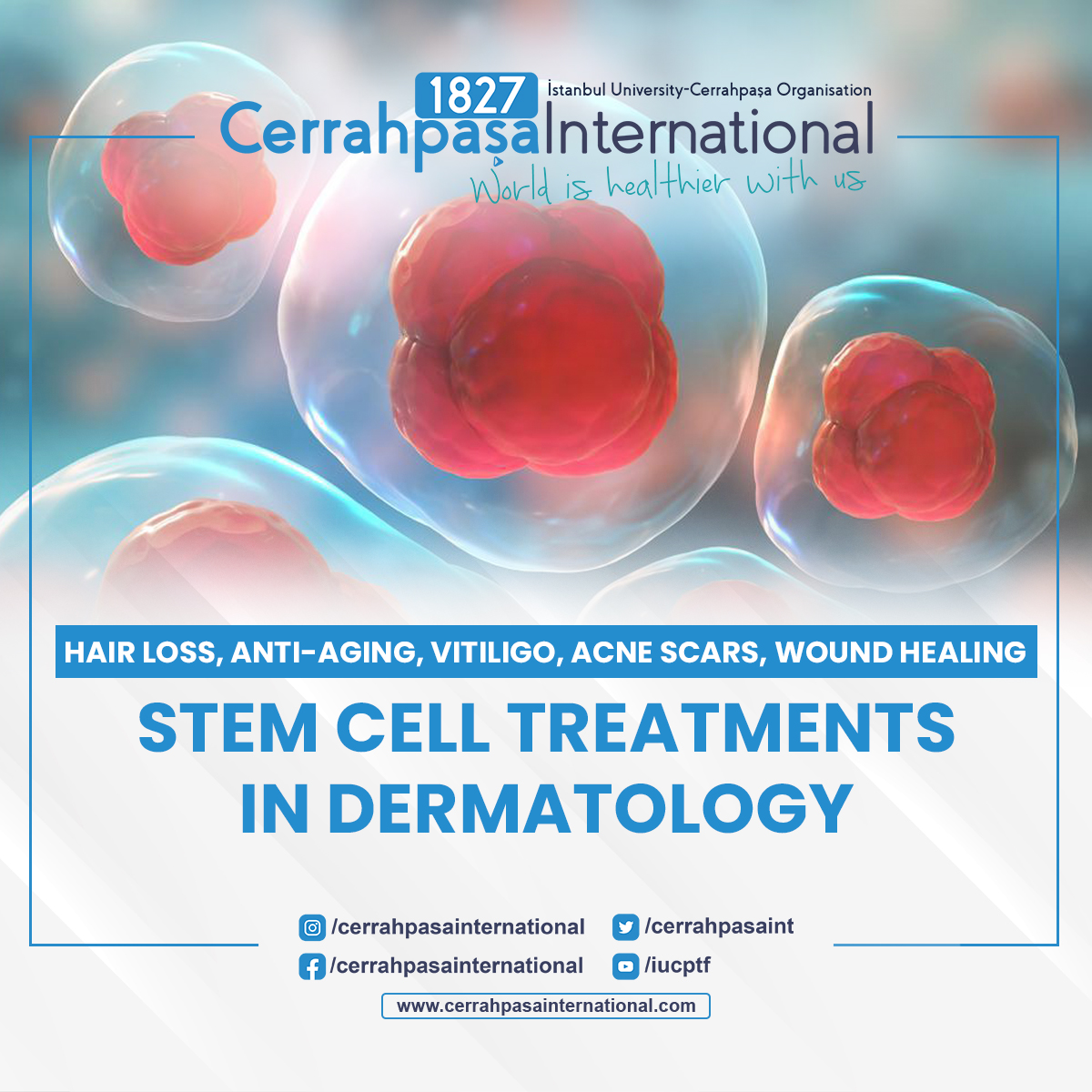 cerrahpasaint's tweet photo. #stemcell therapy has emerged as a promising treatment modality with the potential to restore tissue to its pre-injury state. 

#cerrahpaşatıpfakültesi #cerrahpaşainternational https://t.co/amSF3quhon