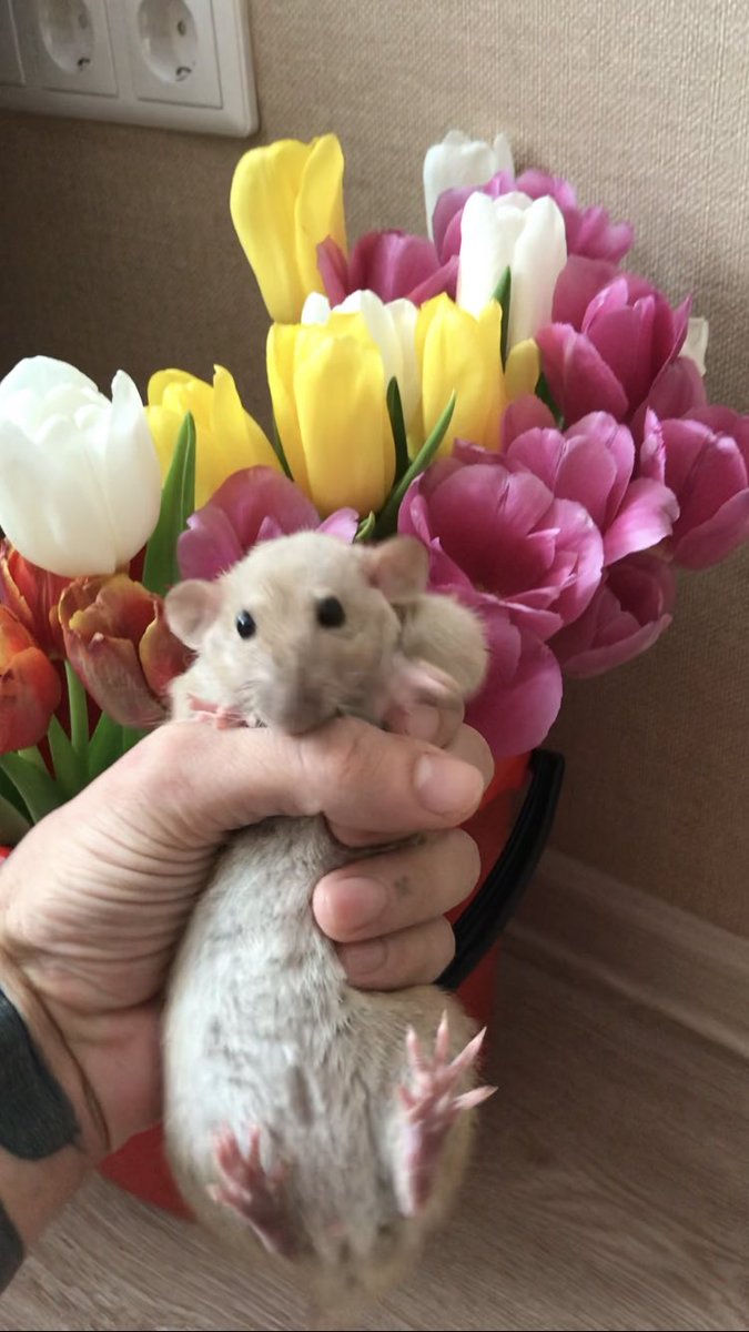 Милости мать вашу!)