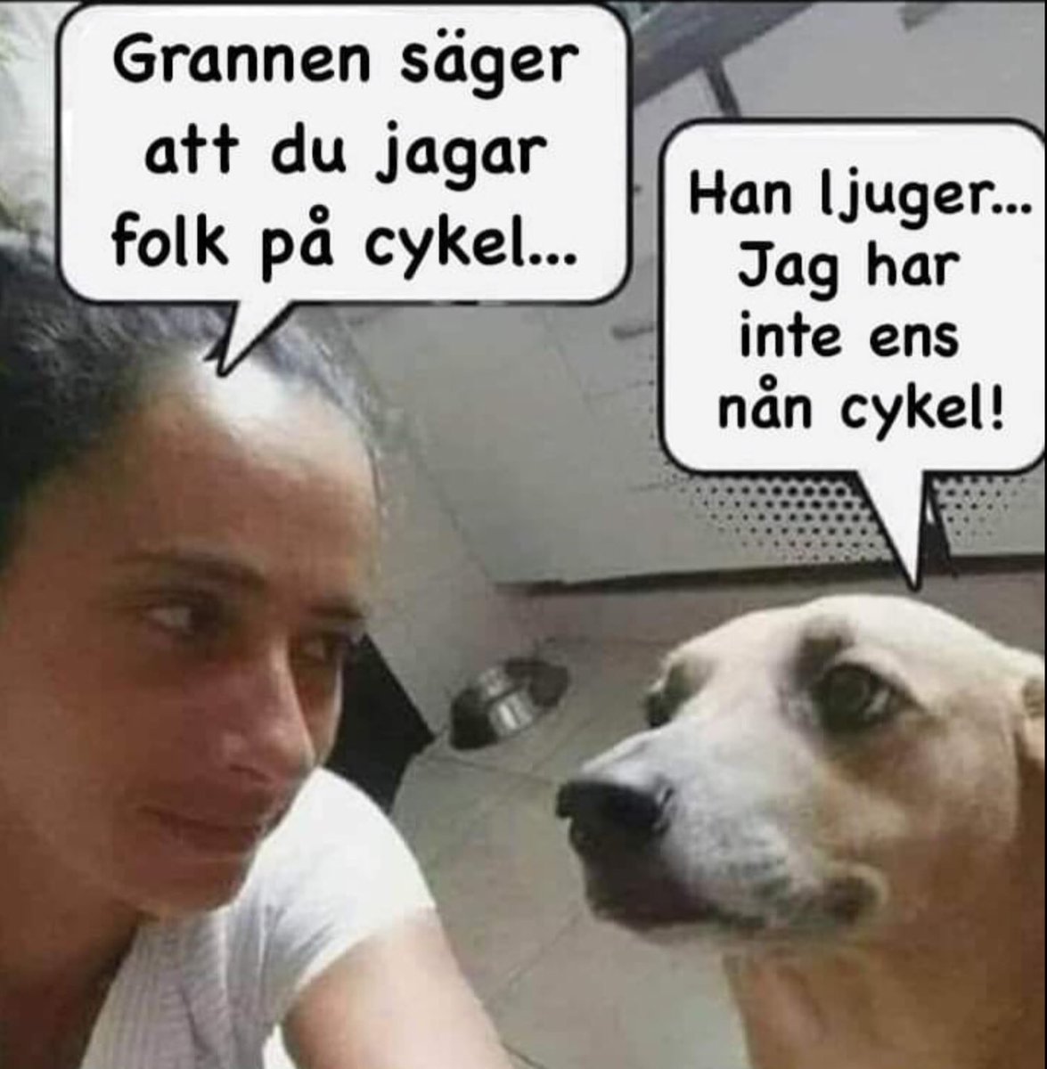 Jonnie Landén (@ekojonnie) on Twitter photo 