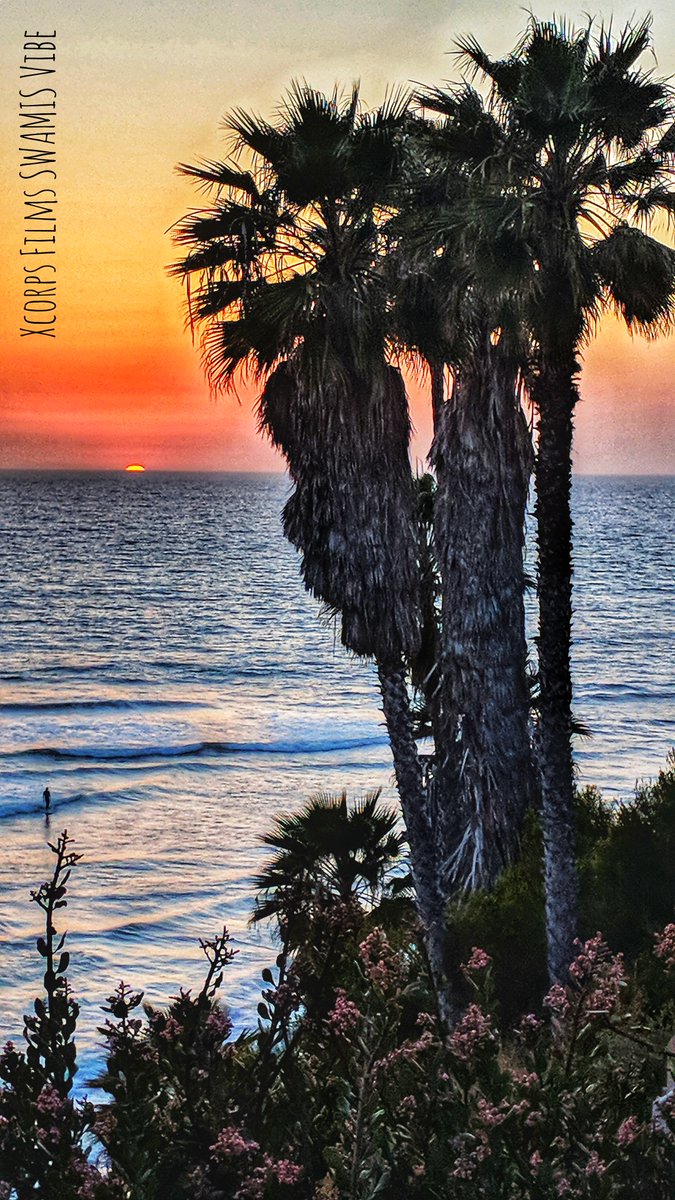 XcorpsTV's tweet photo. Xcorps Coastal Recon Encinitas California.
Sunset Surf Series. March 6, 2022.
Why can a Sunset can be so inspirational!?
Catch The Rad Surf Vibe at Swamis!
PRESS PHOTO Poster by JSE.
See The Action Hear The Music Join The Xcorps!
©2001-2021 TheXcorps.
https://t.co/MDRq1Ladp8 https://t.co/dUqVpwiw3z