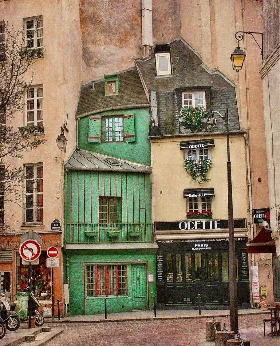 accidentalwesanderson tweet media