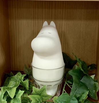 画像 / Picture
