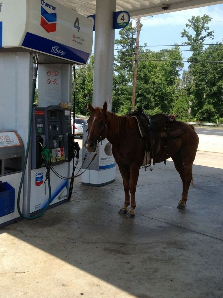 after seeing these gas prices I don’t even blame em