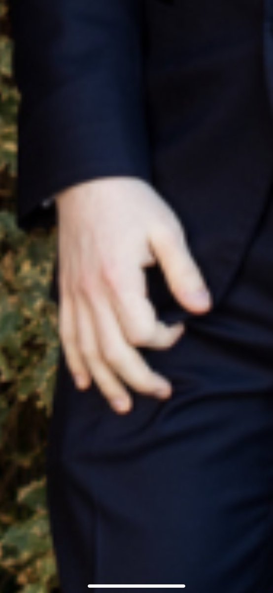 Thorn_of_Haven🐝 tweet media