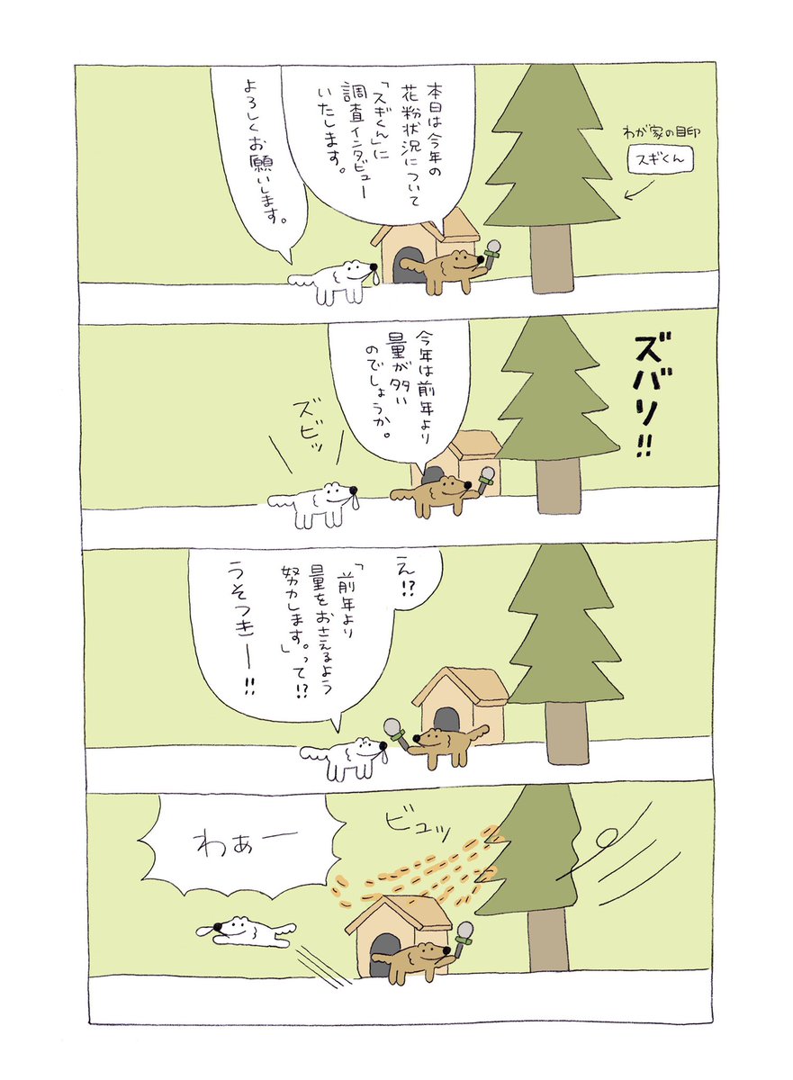 花粉調査インタビュー🎤🌲 