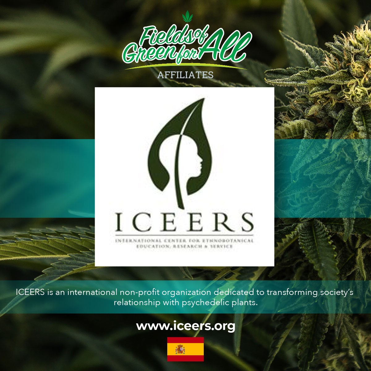 fieldsofgreenforALL.org.za🇿🇦 #DAGGA NPO tweet media