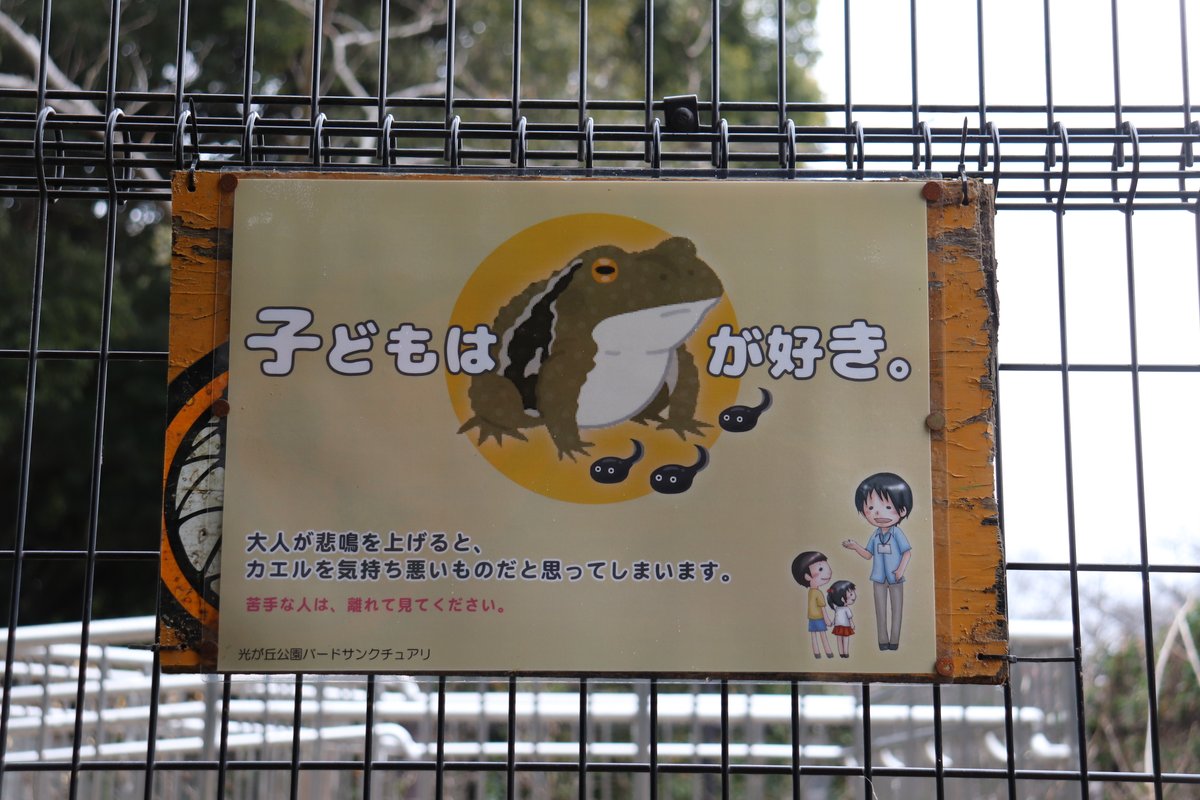 カエルの産卵展示で イヤー キャー と叫ぶ大人の声が気になる 公園施設に掲載された大人へのメッセージが議論を呼ぶ Togetter
