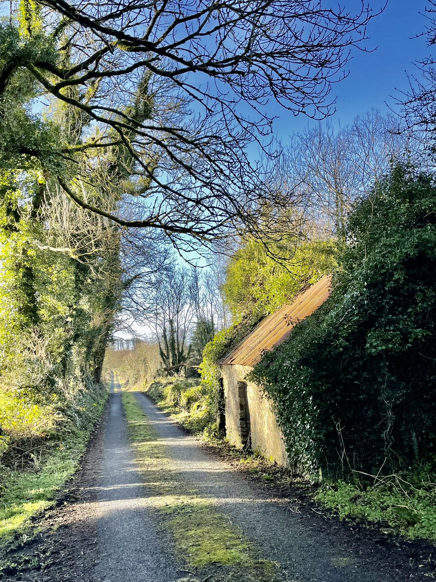 GalwayGirl2505's tweet photo. I just took a masterpiece 🍀💚 https://t.co/6YjWRJtD3S