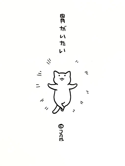 にゃーん🐱 