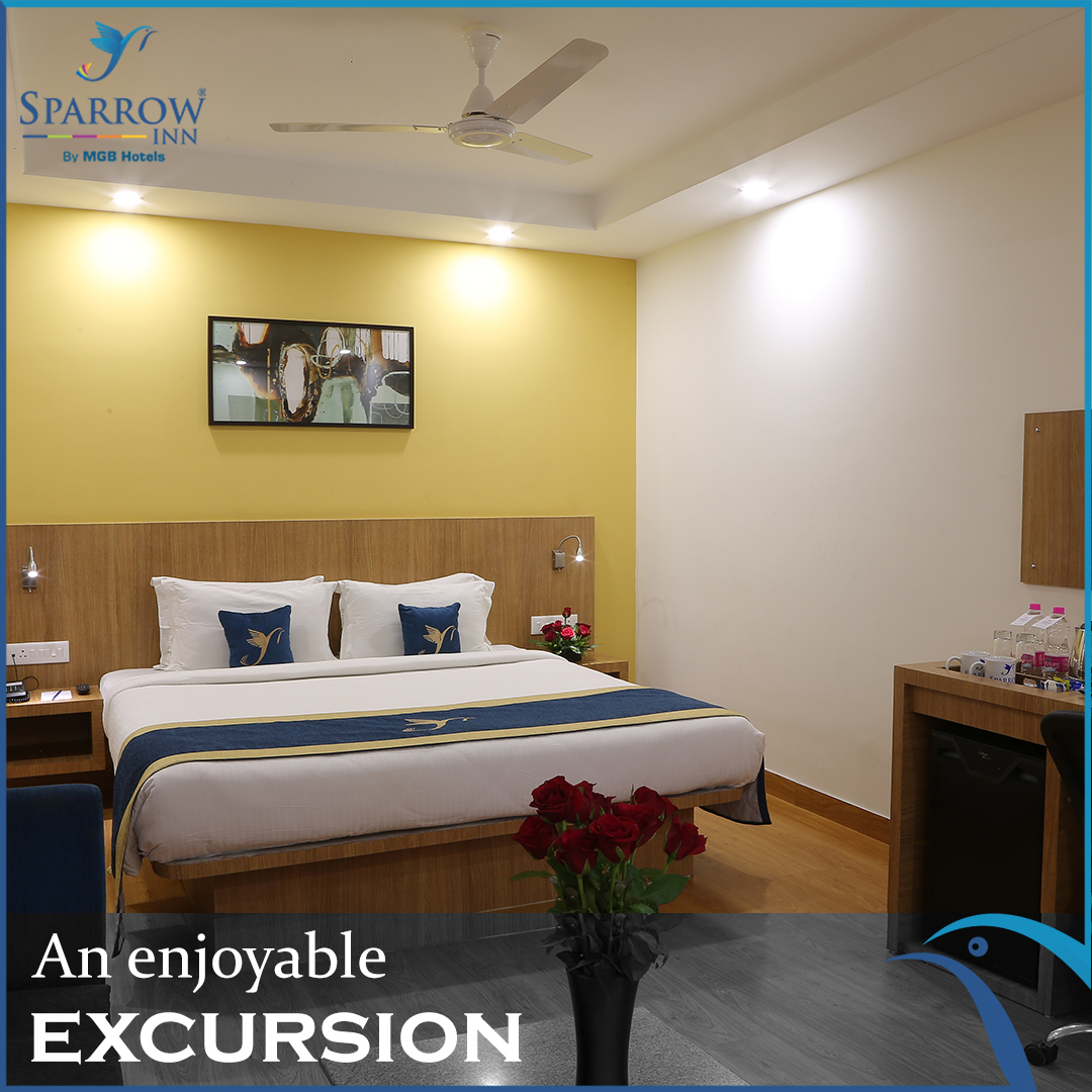 sparrowinn's tweet photo. Our staff at #SparrowInn aims to provide you a wonderful vacation experience surrounded by breathtaking vistas and comfort.

For reservations,please call: +91 9672974440 

#SparrowInnByMGB #HotelsinRajasthan #HotelsInAlwar #MGBHotels #ComfortableStay #Rooms #Staycation https://t.co/jiKg5VK7uO