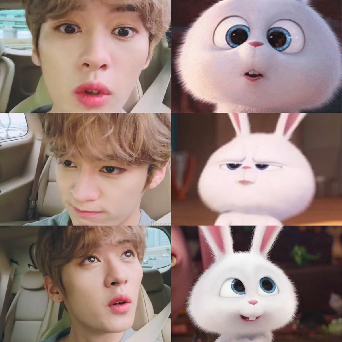 linoscookie's tweet photo. lee know’s talent of looking like snowball at all times https://t.co/bqsiKr3ODj