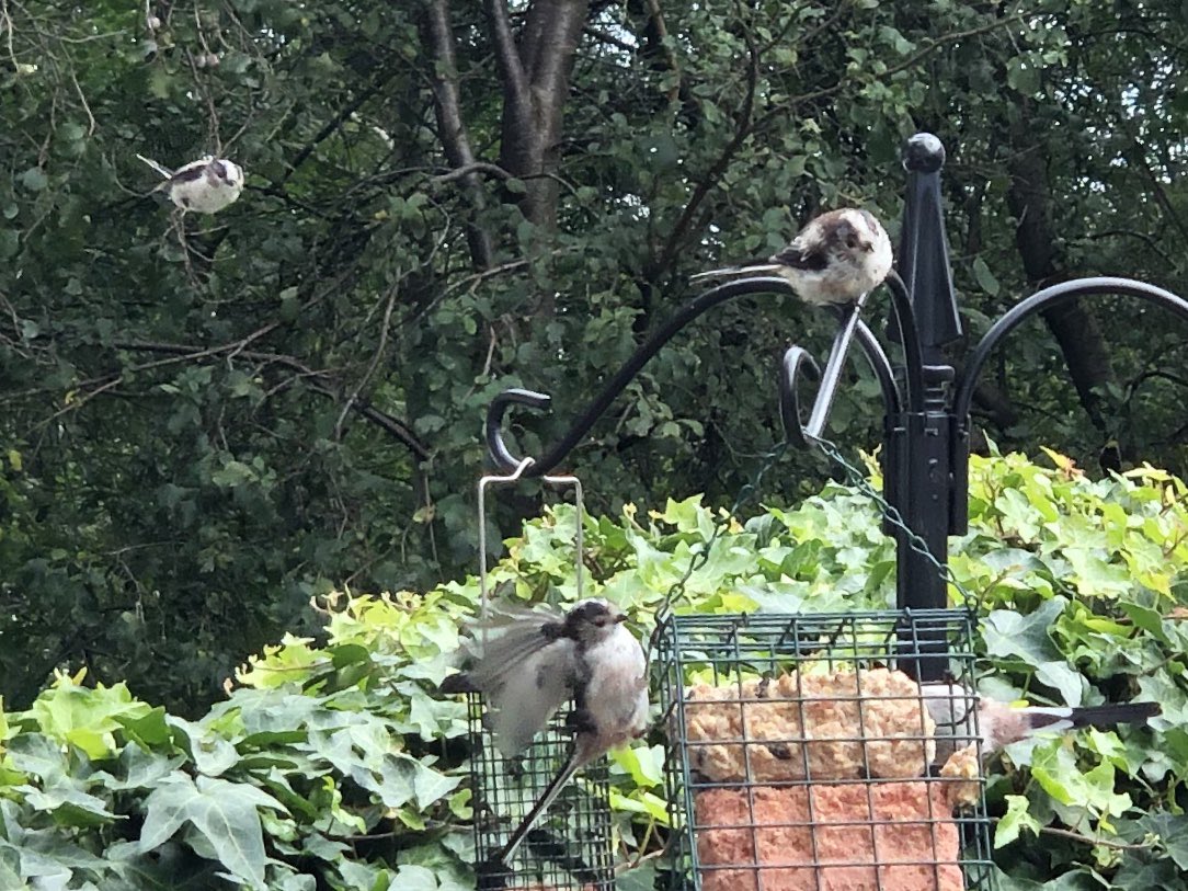 Gillian 🫖🥂 tweet media