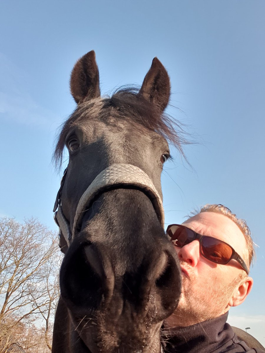 Marco van Stam tweet media
