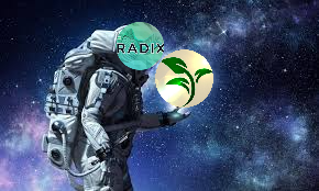 UDr4p's tweet photo. I choose xseed for staking, hope the cryptocurrency will be the best. 
@XSEED_Radix
« join https://t.co/2PTs3ScA06

#XSEED #RADIX #airdrop #giveaway #RadixDLTStaking https://t.co/Zsy2d98b4g
