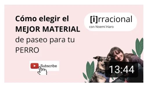 UlisesyArgos's tweet image. Descubre cuál es el mejor material para pasear con tu perro 👉 youtu.be/HfqG5qapYTU