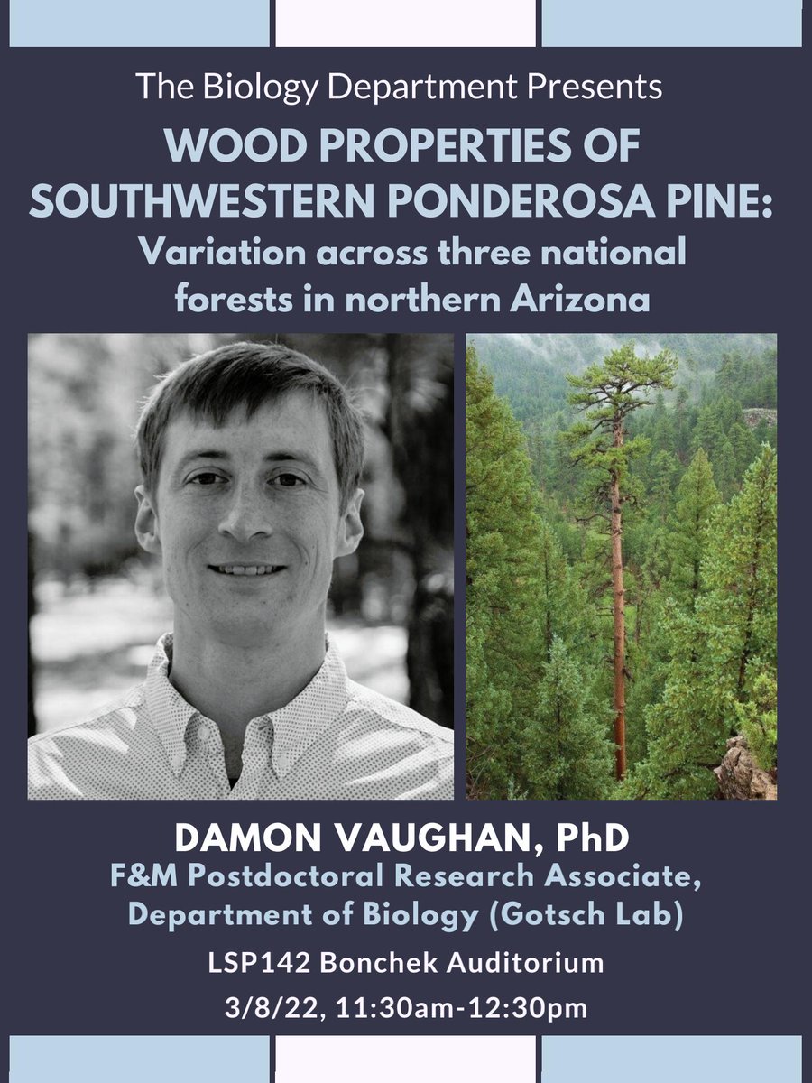GotschSybil's tweet photo. Excited to welcome Damon Vaughan, PhD to our lab! Damon will be working on our research program in the #TropicalMontaneCloudForest of #CostaRica

#ClimateChangeScience #CloudForestResearch #Monteverde #ClimbingScientists @nalininadkarni https://t.co/OH9cVsdVbM