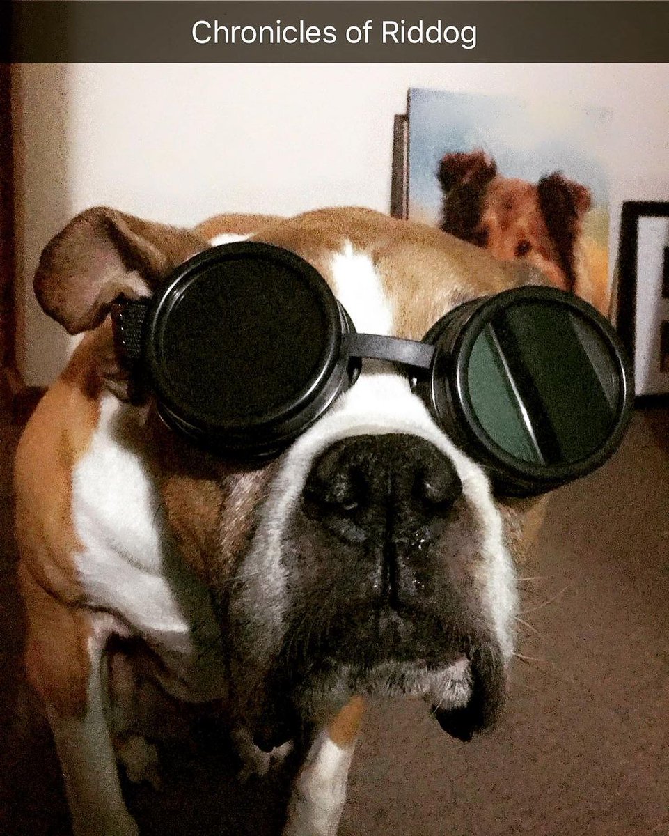 ShilorTV's tweet photo. An oldie but a goldie <3 https://t.co/D0U6OH8ot2