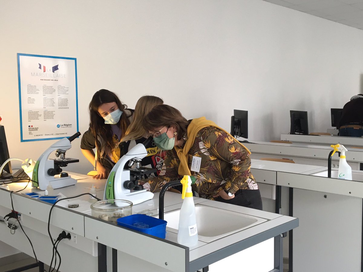 Lycée Armorin Crest tweet media