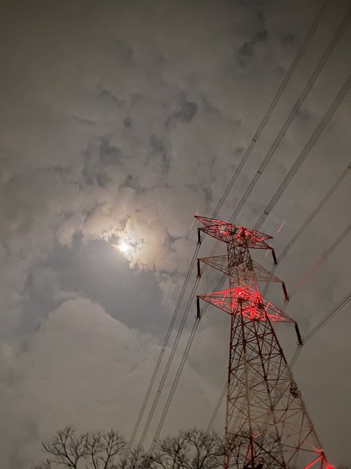 春の夜の匂いがすると何故か少し寂しいような気持ちになるけど
この時期だけの特別な感じが好き 