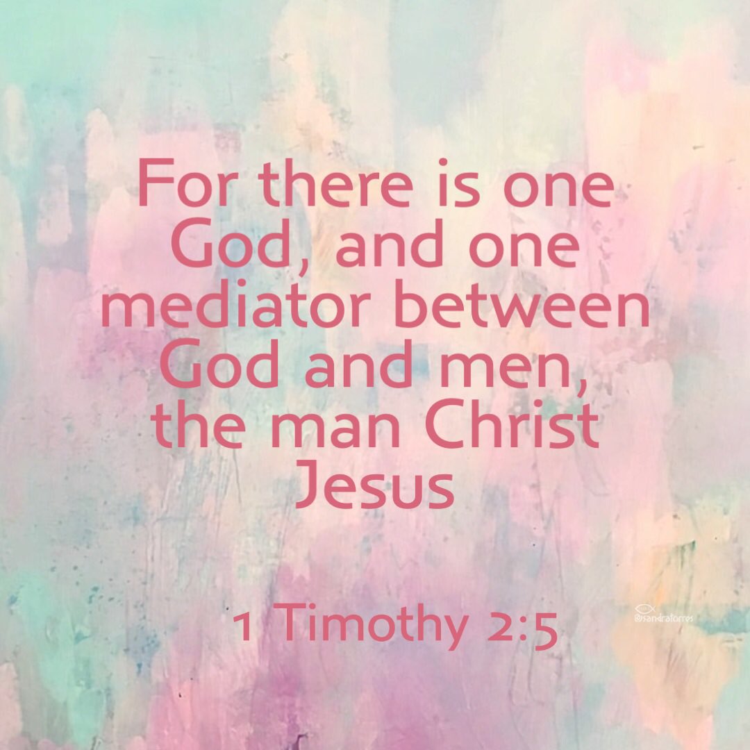 One mediator;  Appointed by God to make atonement for the sins of men by his death,
        and who, in consequence of that atonement,
 is authorized to intercede with God in behalf of sinners,
          and empowered to convey all his blessings to them. #RedeemingLove