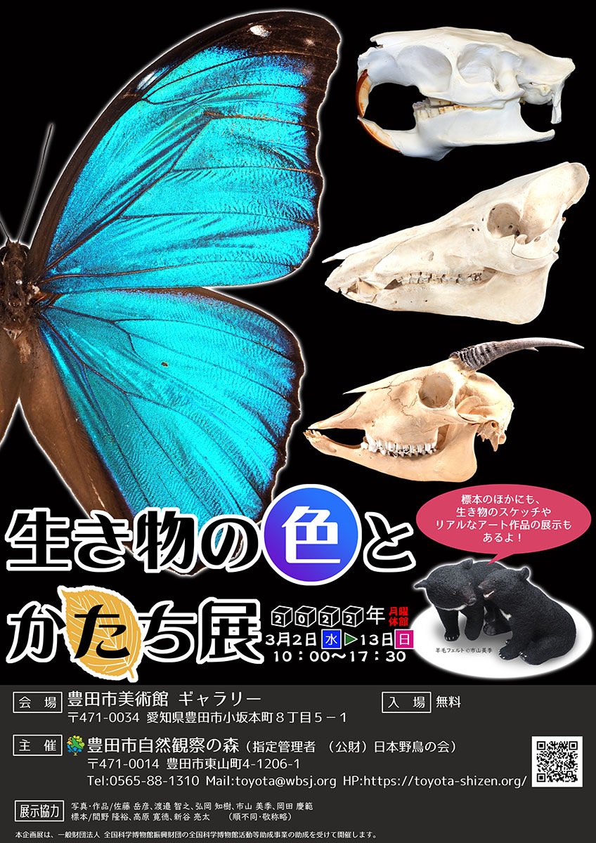 安斉俊 Anzai Shun Twitter