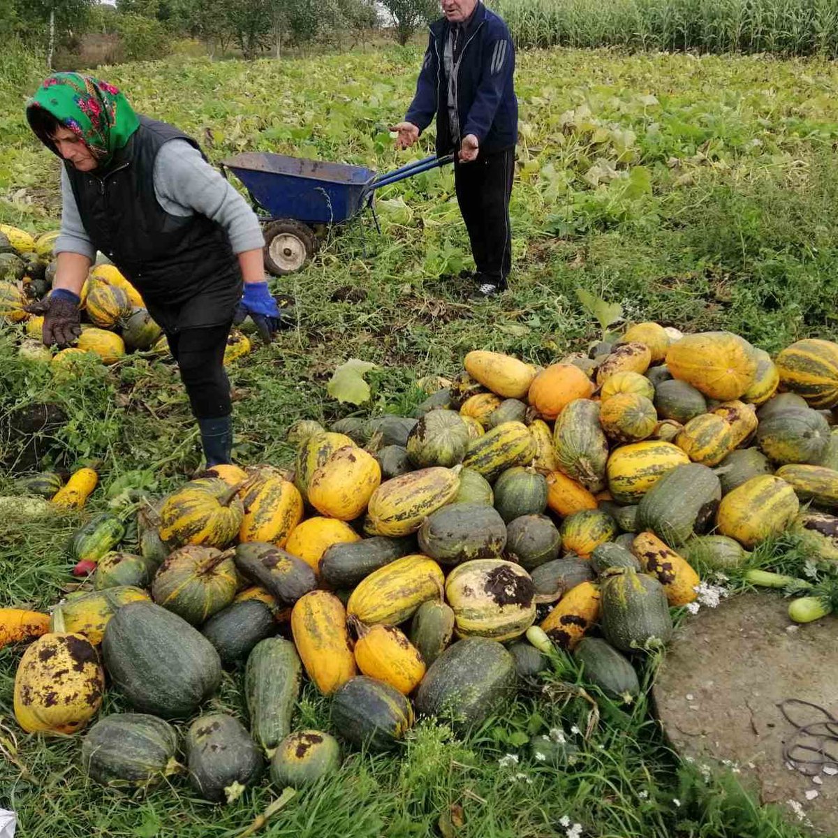 llLinovell's tweet photo. #Ukraine️ #HelpUkrainie https://t.co/7FHVa5Ejxy