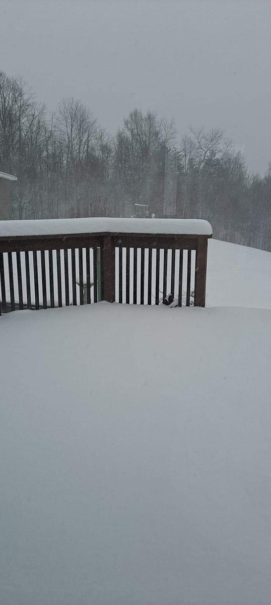 BrianIveyWX's tweet photo. A pretty nice half foot of snow or so on many spots towards the WV and PA border with a couple inches less closer to I-77. 

Forecast worked out well. Maybe a tad bit conservative because we had some heavy thumps. #OHwx #WVwx https://t.co/wlvkQV00zx