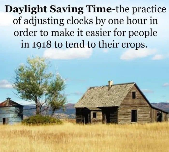 Travis Harrison tweet media