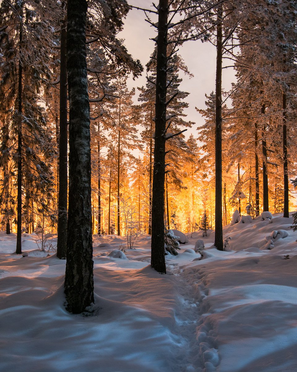 MikkoLagerstedt's tweet photo. Between two Worlds – GM https://t.co/7mdKYG5dFC