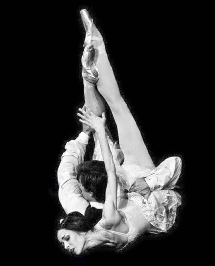 CameliaLadi's tweet photo. Diana Vishneva e Roberto Bolle💜 "La Dama delle Camelie"🌸 ✨ #danza #dance #ballet #pasdedeux #love #beautiful #art #artist #arte #neoclassico https://t.co/ar3EIWKlLK