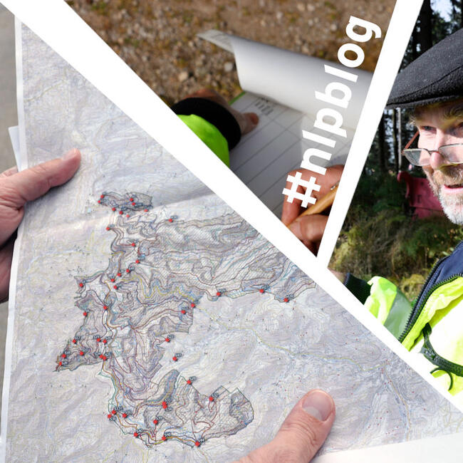 nlpschwarzwald's tweet image. Besucherzählung im Nationalpark: Das große Rechnen - #Nationalpark #Schwarzwald #nlpblog

nationalpark-schwarzwald.de/de/nationalpar…

Foto: Gewald